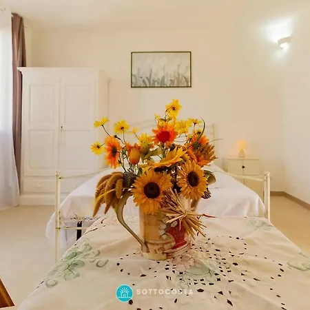 Dalia Flat - * سان فوكا