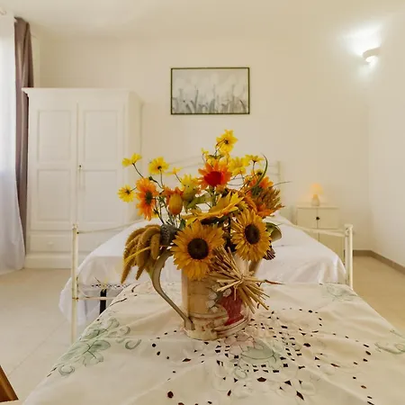 Dalia Flat -